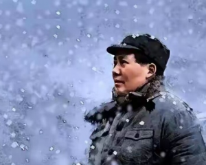 毛爷爷对犹太人的评价