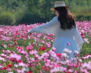花语中妙龄之少女是什么花
