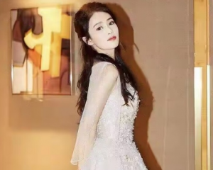 发展历程是什么意思