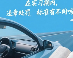 12123记2分是已经扣分了吗