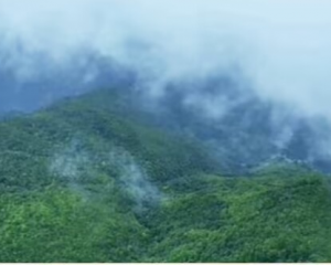 哀牢山在云南的什么地方
