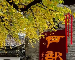 徐州有什么好玩的地方旅游景点