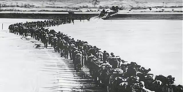 1772067615171502.jpg 1719129552587633.jpg