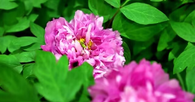 6D8B4E071F48ADB0ECAE696D6A78ABCC_副本.jpg