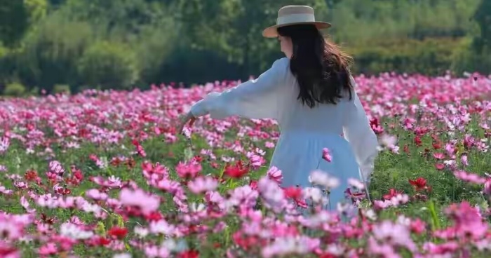 0CF3DBA80238F5B819055AC2853EE3CE_副本.jpg